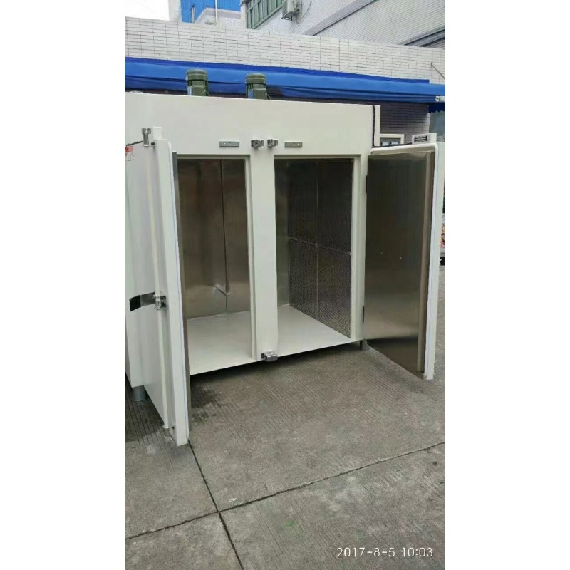 ˫������